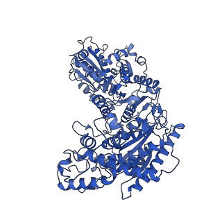 35609_8io6_H_v1-3
Cryo-EM structure of phosphoketolase from Bifidobacterium longum in octameric assembly