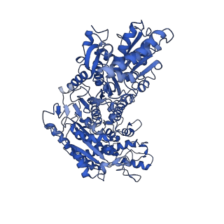 35610_8io7_A_v1-3
Cryo-EM structure of phosphoketolase from Bifidobacterium longum in dimeric assembly