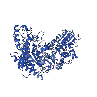 35610_8io7_B_v1-3
Cryo-EM structure of phosphoketolase from Bifidobacterium longum in dimeric assembly