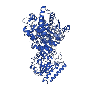 35613_8ioa_A_v1-3
Cryo-EM structure of cyanobacteria phosphoketolase