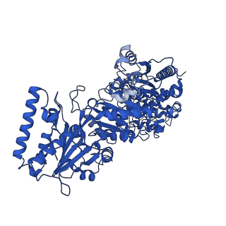 35613_8ioa_B_v1-3
Cryo-EM structure of cyanobacteria phosphoketolase