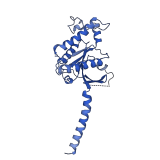 35615_8ioc_A_v1-0
Cryo-EM structure of the gamma-MSH-bound human melanocortin receptor 3 (MC3R)-Gs complex