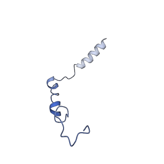 35615_8ioc_G_v1-0
Cryo-EM structure of the gamma-MSH-bound human melanocortin receptor 3 (MC3R)-Gs complex