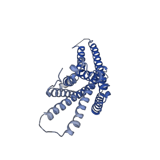 35615_8ioc_R_v1-0
Cryo-EM structure of the gamma-MSH-bound human melanocortin receptor 3 (MC3R)-Gs complex