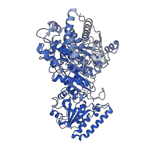 35617_8ioe_A_v1-3
Cryo-EM structure of cyanobacteria phosphoketolase in dodecameric assembly