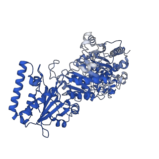 35617_8ioe_B_v1-3
Cryo-EM structure of cyanobacteria phosphoketolase in dodecameric assembly