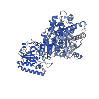 35617_8ioe_C_v1-3
Cryo-EM structure of cyanobacteria phosphoketolase in dodecameric assembly