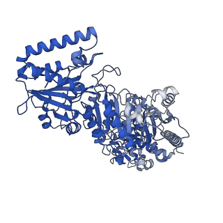 35617_8ioe_D_v1-3
Cryo-EM structure of cyanobacteria phosphoketolase in dodecameric assembly