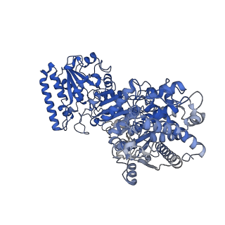 35617_8ioe_E_v1-3
Cryo-EM structure of cyanobacteria phosphoketolase in dodecameric assembly