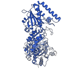 35617_8ioe_F_v1-3
Cryo-EM structure of cyanobacteria phosphoketolase in dodecameric assembly