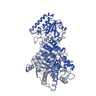 35617_8ioe_G_v1-3
Cryo-EM structure of cyanobacteria phosphoketolase in dodecameric assembly