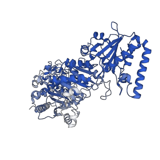 35617_8ioe_H_v1-3
Cryo-EM structure of cyanobacteria phosphoketolase in dodecameric assembly