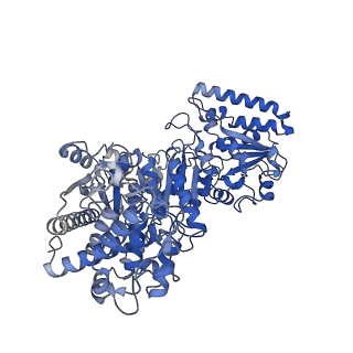 35617_8ioe_I_v1-3
Cryo-EM structure of cyanobacteria phosphoketolase in dodecameric assembly