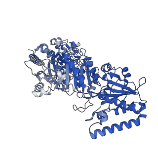 35617_8ioe_J_v1-3
Cryo-EM structure of cyanobacteria phosphoketolase in dodecameric assembly