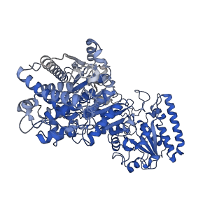 35617_8ioe_K_v1-3
Cryo-EM structure of cyanobacteria phosphoketolase in dodecameric assembly