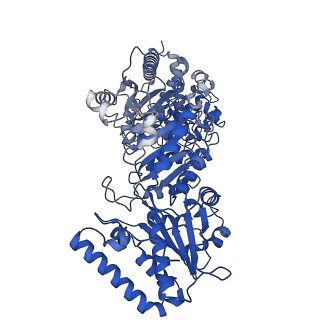 35617_8ioe_L_v1-3
Cryo-EM structure of cyanobacteria phosphoketolase in dodecameric assembly