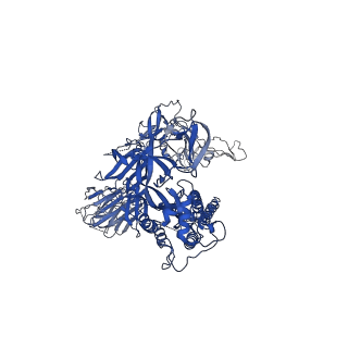 35623_8iot_A_v1-1
Structure of the SARS-CoV-2 XBB.1 spike glycoprotein (closed-2 state)