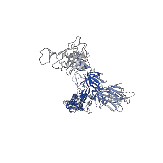 35624_8iou_A_v1-1
Structure of SARS-CoV-2 XBB.1 spike glycoprotein in complex with ACE2 (1-up state)