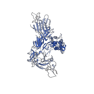 35624_8iou_C_v1-1
Structure of SARS-CoV-2 XBB.1 spike glycoprotein in complex with ACE2 (1-up state)