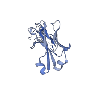 35627_8iow_L_v1-0
Cryo-EM structure of the sarilumab Fab/IL-6R complex