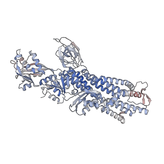 35628_8ioy_A_v1-1
Structure of ATP7B C983S/C985S/D1027A mutant with AMP-PNP