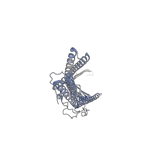9695_6iok_A_v1-1
Cryo-EM structure of multidrug efflux pump MexAB-OprM (0 degree state)