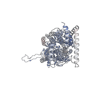 9695_6iok_E_v1-1
Cryo-EM structure of multidrug efflux pump MexAB-OprM (0 degree state)