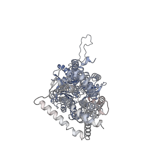 9695_6iok_F_v1-1
Cryo-EM structure of multidrug efflux pump MexAB-OprM (0 degree state)