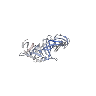 9695_6iok_I_v1-1
Cryo-EM structure of multidrug efflux pump MexAB-OprM (0 degree state)