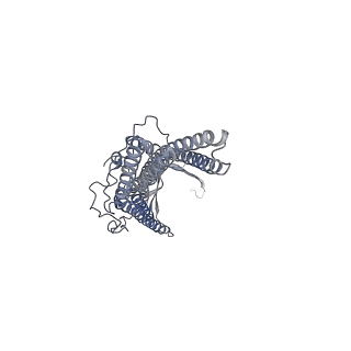 9696_6iol_A_v1-2
Cryo-EM structure of multidrug efflux pump MexAB-OprM (60 degree state)