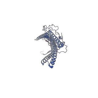 9696_6iol_B_v1-1
Cryo-EM structure of multidrug efflux pump MexAB-OprM (60 degree state)