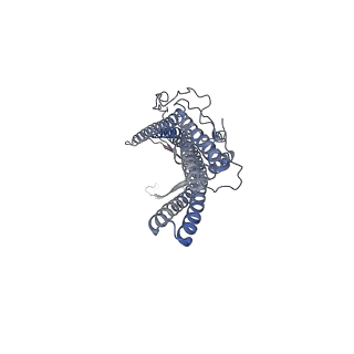 9696_6iol_B_v1-2
Cryo-EM structure of multidrug efflux pump MexAB-OprM (60 degree state)