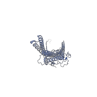 9696_6iol_C_v1-1
Cryo-EM structure of multidrug efflux pump MexAB-OprM (60 degree state)