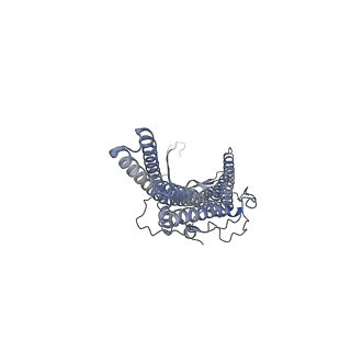 9696_6iol_C_v1-2
Cryo-EM structure of multidrug efflux pump MexAB-OprM (60 degree state)