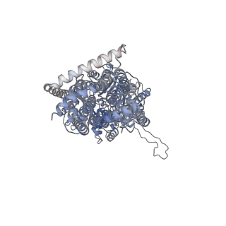 9696_6iol_G_v1-1
Cryo-EM structure of multidrug efflux pump MexAB-OprM (60 degree state)
