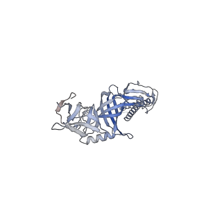 9696_6iol_I_v1-1
Cryo-EM structure of multidrug efflux pump MexAB-OprM (60 degree state)