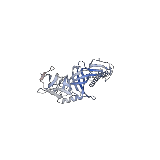 9696_6iol_I_v1-2
Cryo-EM structure of multidrug efflux pump MexAB-OprM (60 degree state)