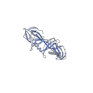 9696_6iol_J_v1-1
Cryo-EM structure of multidrug efflux pump MexAB-OprM (60 degree state)