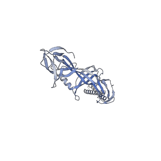 9696_6iol_J_v1-2
Cryo-EM structure of multidrug efflux pump MexAB-OprM (60 degree state)