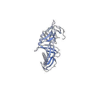 9696_6iol_K_v1-1
Cryo-EM structure of multidrug efflux pump MexAB-OprM (60 degree state)