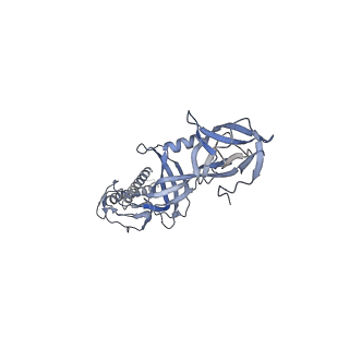 9696_6iol_L_v1-1
Cryo-EM structure of multidrug efflux pump MexAB-OprM (60 degree state)
