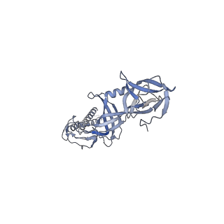 9696_6iol_L_v1-2
Cryo-EM structure of multidrug efflux pump MexAB-OprM (60 degree state)