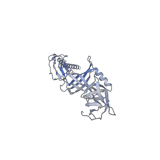9696_6iol_M_v1-1
Cryo-EM structure of multidrug efflux pump MexAB-OprM (60 degree state)