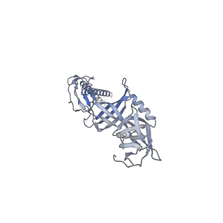 9696_6iol_M_v1-2
Cryo-EM structure of multidrug efflux pump MexAB-OprM (60 degree state)