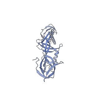 9696_6iol_N_v1-1
Cryo-EM structure of multidrug efflux pump MexAB-OprM (60 degree state)