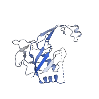 35629_8ip0_A_v1-0
Cryo-EM structure of type I-B Cascade bound to a PAM-containing dsDNA target at 3.6 angstrom resolution