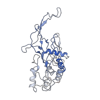 35629_8ip0_B_v1-0
Cryo-EM structure of type I-B Cascade bound to a PAM-containing dsDNA target at 3.6 angstrom resolution