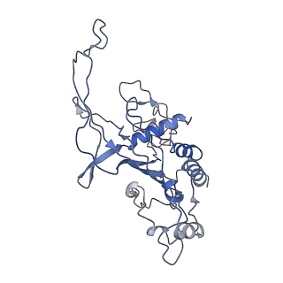 35629_8ip0_C_v1-0
Cryo-EM structure of type I-B Cascade bound to a PAM-containing dsDNA target at 3.6 angstrom resolution