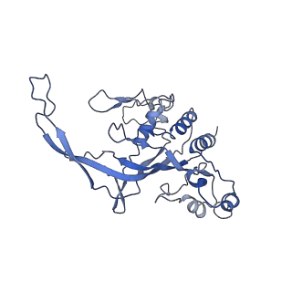 35629_8ip0_D_v1-0
Cryo-EM structure of type I-B Cascade bound to a PAM-containing dsDNA target at 3.6 angstrom resolution