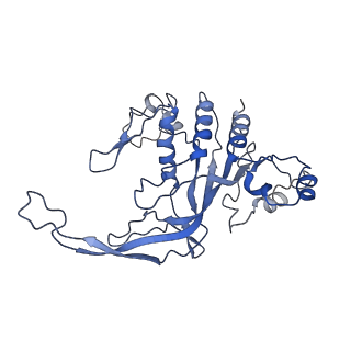 35629_8ip0_H_v1-0
Cryo-EM structure of type I-B Cascade bound to a PAM-containing dsDNA target at 3.6 angstrom resolution